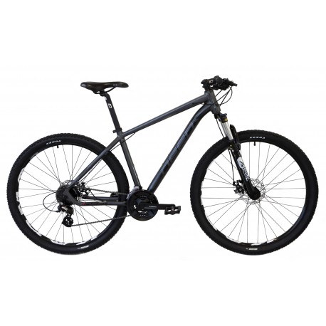 BICICLETA FLAME 296 29"
