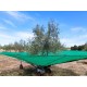 Toldo para azeitonas OLITREE LIGTH (OL)