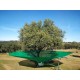 Toldo para azeitonas OLITREE LIGTH (OL)