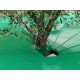 Toldo para azeitonas OLITREE LIGHT – OL