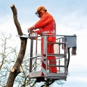 Stihl MS 201 TC-M / Lâmina 30 cm